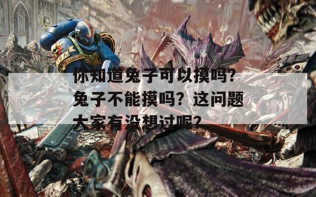 你知道兔子可以摸吗？兔子不能摸吗？这问题大家有没想过呢？