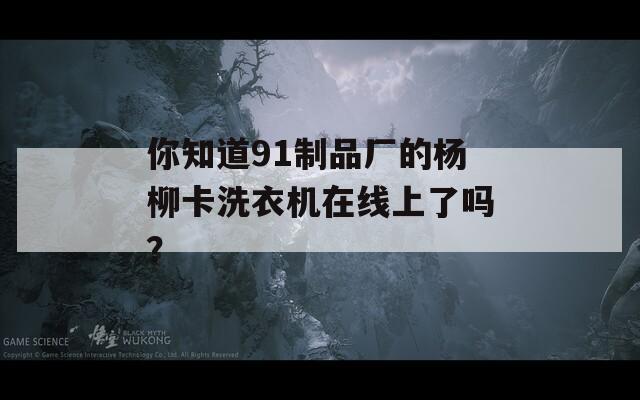 你知道91制品厂的杨柳卡洗衣机在线上了吗？