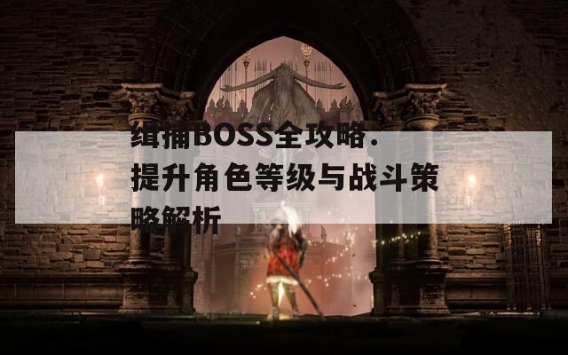 缉捕BOSS全攻略：提升角色等级与战斗策略解析