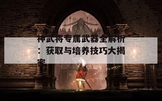 神武将专属武器全解析：获取与培养技巧大揭密