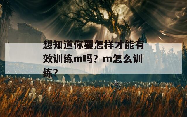 想知道你要怎样才能有效训练m吗？m怎么训练？