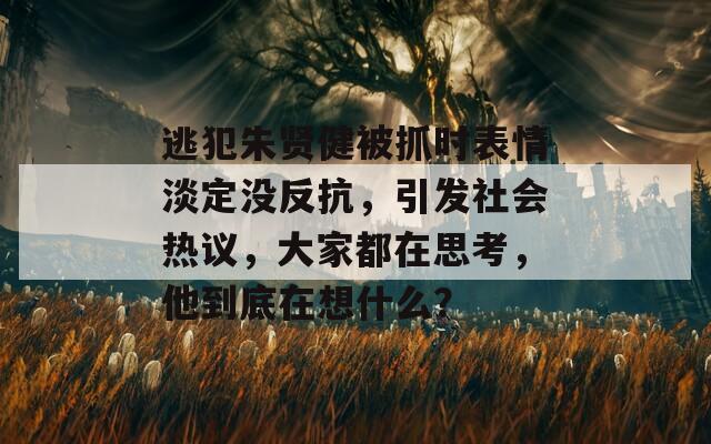 逃犯朱贤健被抓时表情淡定没反抗，引发社会热议，大家都在思考，他到底在想什么？