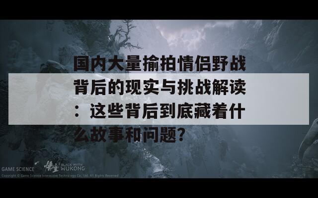 国内大量揄拍情侣野战背后的现实与挑战解读：这些背后到底藏着什么故事和问题？