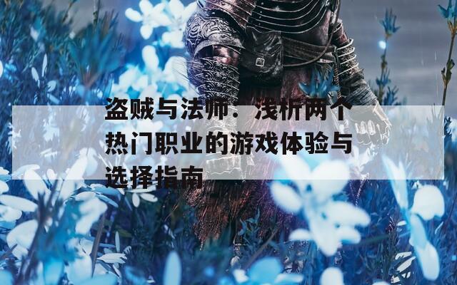 盗贼与法师：浅析两个热门职业的游戏体验与选择指南