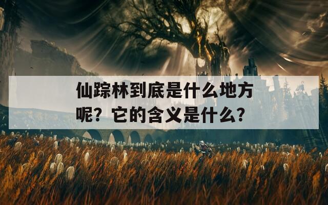 仙踪林到底是什么地方呢？它的含义是什么？