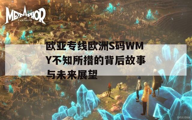 欧亚专线欧洲S码WMY不知所措的背后故事与未来展望